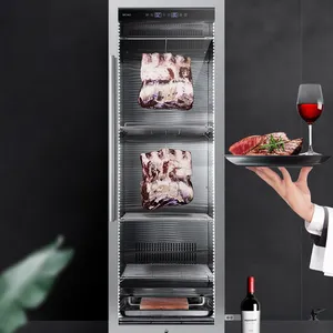 Exibição de carne de queijo, refrigerador de envelhecimento para cabine de queijo carne salami mergulho seco geladeira