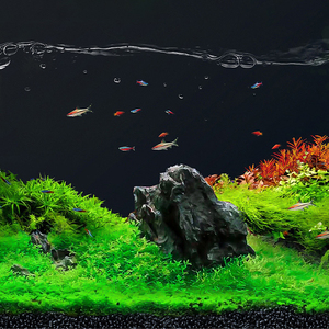 Aquarium Écologique en Verre Ultra-Clair - Bassin à Poissons de Bureau à Changement d'Eau Facilité - Product Image 5