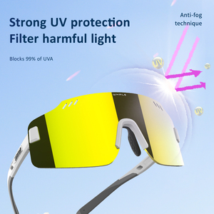<span class=keywords><strong>Lunettes</strong></span> de sport photochromiques polarisées à prix d'usine pour le cyclisme, les voyages, l'alpinisme, la course à pied, la conduite à <span class=keywords><strong>moto</strong></span> - Product Image 4
