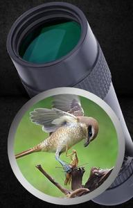 تلسكوب أحادي العدسة فائق التقريب بدقة 4K وقوة تكبير 10-300x40 مم الأعلى مبيعاً - Product Image 4