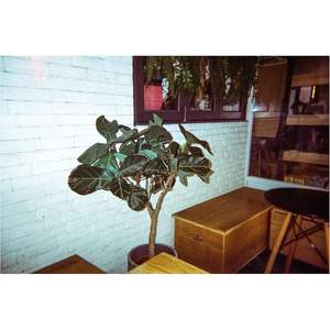 Appareil photo jetable 35 mm avec flash intégré, modèle Amber Spark, film couleur négatif, plastique, rétro, usage unique, vente en gros d'usine - Product Image 4