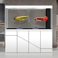 High-end Stainless Steel Arowana Tank Modern Patio Living Large Aquarium 120L Ultra-white Glass Screen Partition Bottom Box