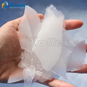 Fournisseur direct d'usine, machine à glace en flocons de 1000 kg par jour pour la pêche - Product Image 4