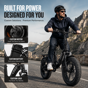 Potente Bicicleta Eléctrica Todoterreno de 750W 48V 50Ah con Llantas Anchas de 20 Pulgadas, Bicicleta Eléctrica de Carga de 1000W, 7 Velocidades, Precio de Fábrica - Product Image 1