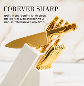 14PCS NOVISON Kitchen <b>Knife</b> <b>Set</b> Stainless Steel 3Cr13 Coated Blades Gold Color Box Eco-friendly Durable Ambidextrous Design - Product Image 4