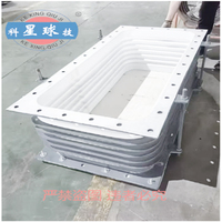 Anneaux de renforcement en PTFE personnalisés, compensateurs, surface peinte, résistance aux produits chimiques à basse pression, résistance à la corrosion, raccords de tuyauterie