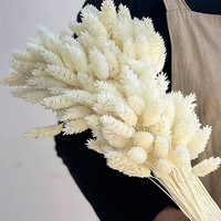 Yunnan gros coloré immortel gemme herbe préservée fleurs et plantes pour Arrangement de fleurs décoration Bouquet faisant