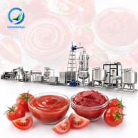 Oceaan Tomatenpuree Productielijn Tomatensaus Productiemachine Kleine Tomatenverwerkingsmachine