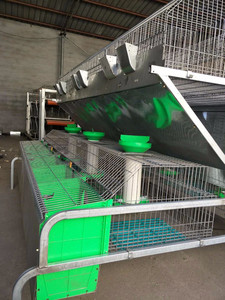 Cages <span class=keywords><strong>à</strong></span> lapins industrielles pour élevage commercial, <span class=keywords><strong>2</strong></span> <span class=keywords><strong>étages</strong></span>, avec loquets, en plastique et acier galvanisé, faciles <span class=keywords><strong>à</strong></span> nettoyer - Product Image 4