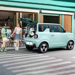 Geely Panda Mini EV Auto niedlicher Bär gebrauchte Autos Export neue Energiefahrzeuge intelligentes Elektroauto für Mädchen