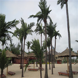 Chi Phí Thấp Nhân Tạo Ngoài Trời <span class=keywords><strong>Palm</strong></span> 3M Dừa <span class=keywords><strong>Palm</strong></span> Bán Buôn Ngoài Trời Sợi Thủy Tinh Nhân Tạo <span class=keywords><strong>Palm</strong></span> Để Bán - Product Image 5