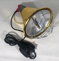 Lampe chauffante industrielle dorée pour animaux – Chauffe-nid réglable et anti-humidité pour l'élevage de volailles (approvisionnement en gros)