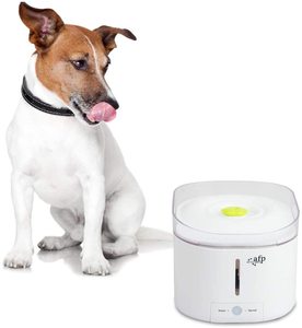 Bebedero Automático ALL-FOR-PAWS Purefect, Fuente de Agua para Gatos, Dispensador de Agua para Perros, Fuente para Mascotas - Product Image 1