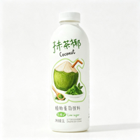 Boisson au matcha et à la noix de coco, boisson protéinée à base de plantes, faible en sucre, boisson saine pour le petit-déjeuner
