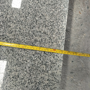 Exportación, fabricación Natural, barato, venta al por mayor, sal y pimienta, Popular, losa de granito gris plateado claro chino G603 - Product Image 5
