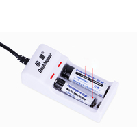 Doublepow U21 2S Smart Portable DC USB Battery Charger 5W Output Power for 1.2V AA and AAA NiMH Rechargeable Batteries chargeur