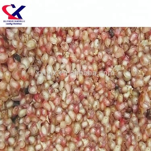 <span class=keywords><strong>Granada</strong></span> máquina de <span class=keywords><strong>pelar</strong></span> uso Industrial de jugo de <span class=keywords><strong>Granada</strong></span> máquina de extracción - Product Image 4