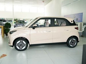 Véhicule électrique compact haute performance <span class=keywords><strong>Duomi</strong></span> modèle 2025, édition confort 305 km - Product Image 4