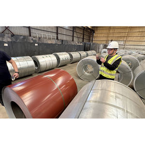 Bobinas de Acero Galvanizado Recubierto de Zinc PPGI de Primera Calidad OEM ODM - Product Image 5