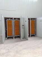 Incubateur solaire automatique à 20000 œufs, couveuse électrique, entièrement automatique