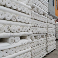 Tissu de doublure en taffetas tissé croisé 75D 190T 100% polyester à séchage rapide et respirant pour sacs et vêtements pour garçons - Vente en gros usine