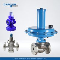 Vanne de régulation et de stabilisation de pression Carter en fonte WCB, laiton, acier inoxydable, avec raccord RFF et filetage FF, pour réduction de pression