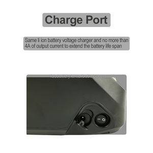 Batterie de vélo électrique <span class=keywords><strong>Zeus</strong></span> ALPHA S 48v 13ah 15ah 17.5ah pour OMEGA X BOLT SERIES Starwheels Magnataur EBH1000 Retrostar EBH820 - Product Image 5