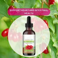 HDK Gouttes liquides de berbérine 60ml Sans alcool Berbérine HCL Cannelle de Ceylan Curcuma Chardon-Marie Supplément OEM ODM