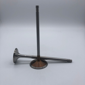 วาล์วไอดีวาล์วเครื่องยนต์ร้อนวาล์วไอเสียสำหรับ N52 BMW <span class=keywords><strong>N52B30</strong></span> 3.0L N52B25 2.5L 11347553771 11347553772 11347539919 11347553774 - Product Image 4