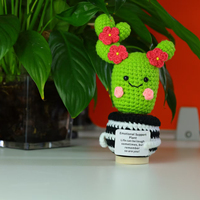 Lunatique Nouveau Style Crocheté Cactus À La Main Plante En Pot Succulente pour La Décoration Intérieure
