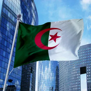 Werbeartikel Factory Custom Logo 3x5 ft Polyester Durable Outdoor Custom Algerien Flagge