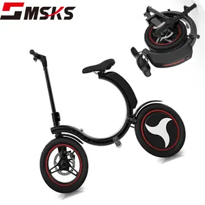 Two Wheel 100% Fully Folding Electric Bikes Foldable Mini Bicycle for Adults 14inch 350W Portable E-Bike