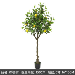 Macetas y jardineras Ins, <span class=keywords><strong>limonero</strong></span>, tienda de ropa en maceta, <span class=keywords><strong>Interior</strong></span> accesorios de decoración para el hogar, adornos, árbol, planta verde - Product Image 5