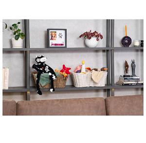 Cornice per animali domestici ricordo per cani e gatti scatola ombra con collare cornice commemorativa per animali domestici - Product Image 6