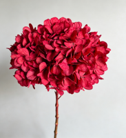 Bunga Hydrangea Merah Alami Awet, Daun Besar, Tahan Lama 3-5 Tahun, Bunga Thanksgiving Abadi, Pengawetan Gliserin, 22cm