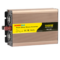 Pure Sine Wave Inverter, 1000 W, 1 KW, 1000 WATT, 12V, 24V