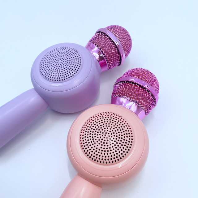 Educational Professional Wireless Microphone for Girls Kids with Type C Connector-Rechargeable Portable Musical Instrument Toy