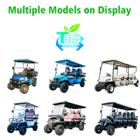 Carrito de Golf Eléctrico de 2 Plazas, Venta al Por Mayor de Fábrica, Motor de CA de 4KW, Buggy Todoterreno con Neumáticos de 14 Pulgadas, Batería de Litio, Personalizable