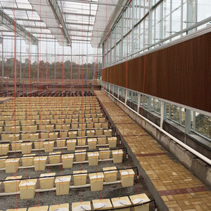 Hydroponics Hà Lan xô phát triển hệ thống cho cà chua nhựa Hà Lan xô hydroponics Hà Lan xô phát triển hệ thống cho cà chua - Product Image 3