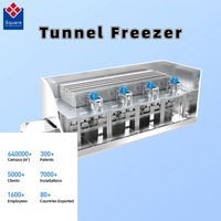 Vierkante Nieuwe Ontwerp Aanpasbare Tunnelvriezer voor Diepvriesproducten met Eenvoudig Onderhoud en Bediening