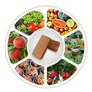 Sol nutritif en brique de noix de coco pour la culture de légumes sol de plantation universel à grands blocs - Product Image 5