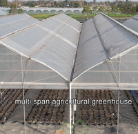 Gotische Tuinbouwkas Kit |   Grote enkellaagse multispan commerciële constructie voor de teelt van hoogproductieve groenten en bessen