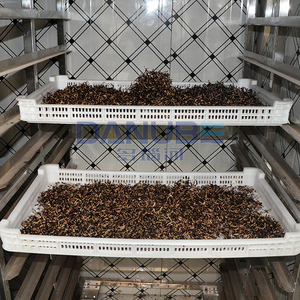 Manufacturer-Priced Vegetable Drying Room Black Fungus Dehydrator Equipment Black Fungus Drying Oven Room - Product Image 3