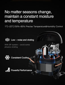 Refroidisseur de viande vieilli sec <span class=keywords><strong>professionnel</strong></span> contrôle précis de la température et de l'humidité 10 tailles disponibles armoire de vieillissement à sec - Product Image 5