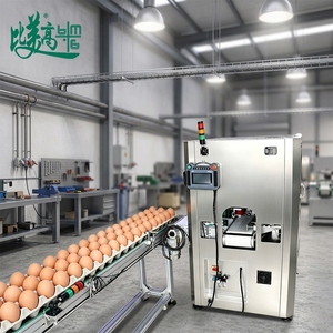 Máquina Automática de Inspección y Empaquetado de Huevos Diseñada para la Detección de Defectos en la Superficie Transparente de la Cáscara del Huevo, Junto con Etiquetado Offset - Product Image 1