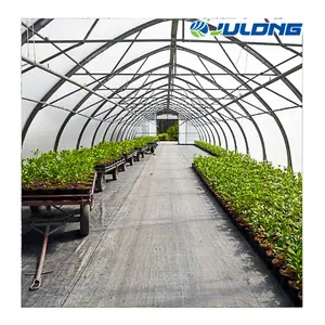 Cheap Vegetable Hydroponic Systems Green House Single-span Agricultural Greenhouses Frame Manufacturing