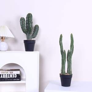 Plantes artificielles en plastique, cactus, plantes vertes, paysage désertique, décoration intérieure/extérieure, fausses plantes tropicales - Product Image 2