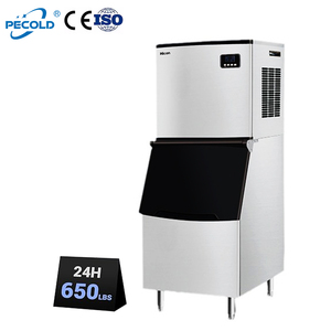 Machine à glaçons Pecold 600 kg pour le Népal, à vendre sur le marché commercial, production de glace solide 160 kg/24h, automatique - Product Image 2