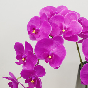 Orquídeas Phalaenopsis Artificiales, 9 Cabezas, 98 cm de Largo, Textura Realista, PVC, Plástico Suave, para Sala de Estar y Mesa de Comedor - Product Image 3
