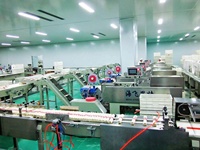 Machine d'emballage de spaghetti machine d'emballage de nouilles en bâton machine d'emballage alimentaire automatique